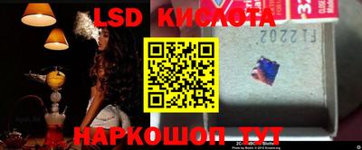 не бодяженный Кингисепп