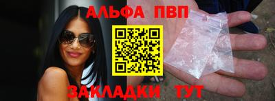 не бодяженный Кингисепп